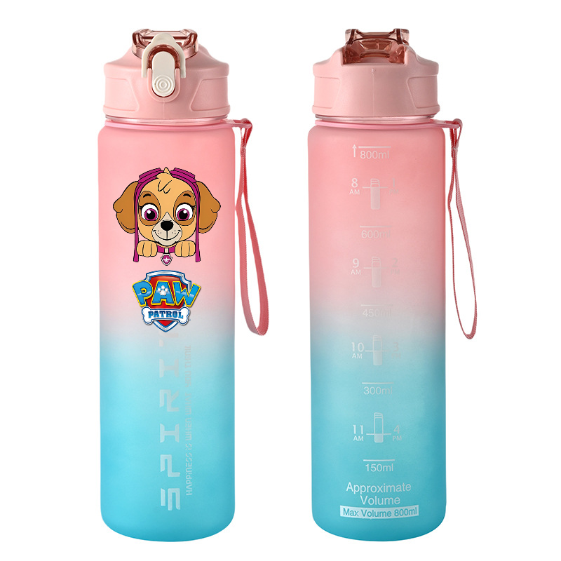 800ml PAW Patrol Sport Waterfl - Kids Outdoor Gym recensie en prijs